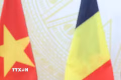 Hà Nội thúc đẩy hợp tác chiến lược với các tập đoàn và tổ chức quốc tế tại Bỉ