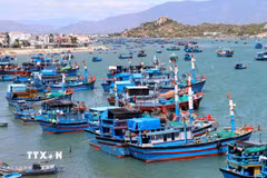 Tổ chức vi phạm nghiêm trọng trong khai thác thủy sản bị phạt tới 2 tỷ đồng. (Ảnh minh họa: Nguyễn Thành/TTXVN)