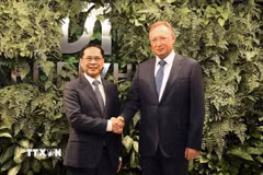 Phó Thủ tướng Bùi Thanh Sơn tiếp Tổng Giám đốc Zarubezhneft Sergei Kudryashov. (Ảnh: Tâm Hằng/TTXVN)