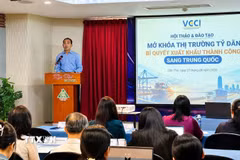 Giám đốc VCCI Đồng bằng sông Cửu Long Nguyễn Phương Lam phát biểu tại Hội thảo. (Ảnh: Thanh Liêm/TTXVN)