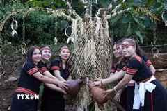 Những thiếu nữ đồng bào M’Nông hứng dòng nước thiêng trong Lễ cúng máng nước tại khu dân cư Bằng La, thôn Tak Xoai, xã Trà Leng năm 2026. (Ảnh: Đỗ Trưởng/ TTXVN)