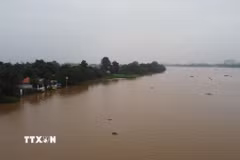 Mực nước sông Đồng Nai lên cao. (Ảnh: Sỹ Tuyên/TTXVN)