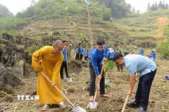 Lãnh đạo địa phương cùng đoàn viên, thanh niên và người dân ra quân trồng cây tại tuyến đường. (Ảnh: Đức Thọ/TTXVN)