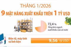 Tháng 1/2026: 9 mặt hàng xuất khẩu trên 1 tỷ USD