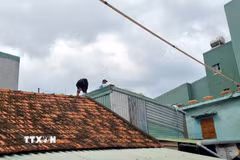 Người dân chủ động chèn, chắn mái nhà để ứng phó với bão số 15. (Ảnh: Quang Thái/TTXVN)