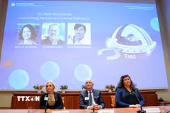 Chân dung các nhà khoa học đoạt giải Nobel Y sinh năm 2025 (từ trái sang): Mary E Brunkow, Fred Ramsdell và Shimon Sakaguchi. (Ảnh: THX/TTXVN)
