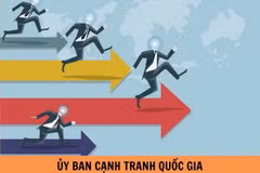 Chế độ bồi dưỡng thành viên Ủy ban Cạnh tranh Quốc gia áp dụng từ ngày 1/4/2025