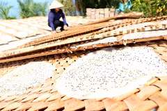 Bánh tráng Thuận Hưng được phơi nắng. (Nguồn: TTXVN) 