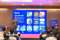 Đại diện công ty Vietravel chia sẻ thông tin về các tuyến, điểm du lịch nổi bật của Việt Nam được khách nước ngoài, trong đó có du khách Ấn Độ, yêu thích lựa chọn. (Ảnh: Vũ Hà/TTXVN)