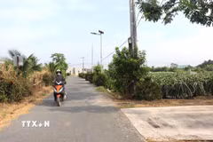 Đường làng, ngõ xóm ở An Lục Long khang trang, sạch đẹp bên những ruộng thanh long bạt ngàn. (Ảnh: Đức Hạnh/TTXVN)