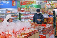 Ảnh minh họa. (Ảnh: Trần Việt/TTXVN)