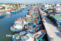 Đội tàu cá của ngư dân đậu tại cảng cá Đông Hải, thành phố Phan Rang-Tháp Chàm. (Ảnh: Nguyễn Thành/TTXVN)