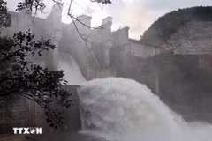 Ảnh minh họa. (Ảnh: Đỗ Trưởng/TTXVN)