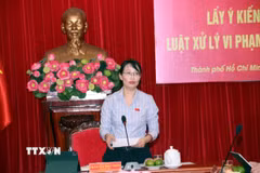 Bà Trần Thị Diệu Thúy, Phó Trưởng Đoàn đại biểu Quốc hội Thành phố Hồ Chí Minh, chủ trì Hội nghị. (Ảnh: Xuân Khu/TTXVN)