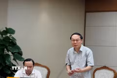 Thứ trưởng Bộ Nông nghiệp và Môi trường Lê Công Thành phát biểu tại cuộc họp. (Ảnh: Diệp Trương/TTXVN)