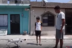 Mexico: Chó robot nâng cao nhận thức về đối đãi với động vật
