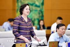 Bộ trưởng Bộ Nội vụ Phạm Thị Thanh Trà phát biểu. (Ảnh: Doãn Tấn/TTXVN)