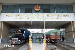 Xe container chở hàng hóa chờ làm thủ tục tại cửa khẩu quốc tế đường bộ số 2 Kim Thành, Lào Cai. (Ảnh: Quốc Khánh/TTXVN)
