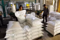 Sản phẩm gạo xuất khẩu của Công ty TNHH gạo Vinh Phát (An Giang). (Ảnh: Vũ Sinh/TTXVN)