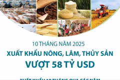 10 tháng năm 2025: Xuất khẩu nông, lâm, thủy sản vượt 58 tỷ USD