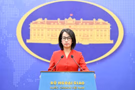 Người phát ngôn Bộ Ngoại giao Phạm Thu Hằng. (Ảnh: BNG)