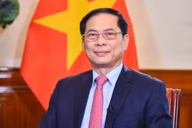 Phó Thủ tướng Bùi Thanh Sơn. (Ảnh: BNG)