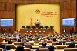 Quốc hội biểu quyết thông qua Nghị quyết của Quốc hội phê duyệt chủ trương đầu tư Chương trình mục tiêu quốc gia phát triển văn hóa-xã hội, nông thôn, dân tộc và miền núi giai đoạn 2026-2035. (Ảnh: Doãn Tấn/TTXVN)