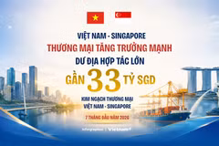 Kim ngạch thương mại 7 tháng đạt gần 33 tỷ SGD khẳng định đà phát triển quan hệ Việt Nam-Singapore 
