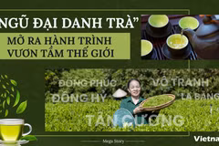 “Ngũ đại danh trà”: Mở ra hành trình vươn tầm thế giới 