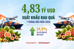 Xuất khẩu rau quả đạt 4,83 tỷ USD, nhiều thị trường tiếp tục được mở cửa