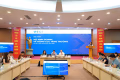 Chính sách có cơ chế chuyển tiếp sẽ tạo động lực cho khu vực tư nhân phát triển