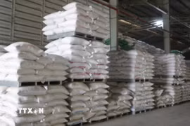 Chính phủ thông qua nội dung dự án Luật Dự trữ quốc gia (sửa đổi). (Ảnh: Thanh Bình/TTXVN)
