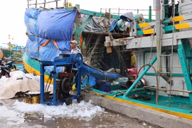Ngư dân xã Bình Châu chuyển đá lên tàu cá để chuẩn bị xuất bến, ra khơi đầu năm sáng 25/2/2026 (mồng 9 Tết). (Ảnh: Hoàng Nhị/TTXVN)