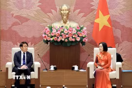 Phó Chủ tịch Quốc hội Nguyễn Thị Thanh tiếp Ngài Saito Hiroaki, Chủ nhiệm Ủy ban Giáo dục, Văn hóa, Thể thao, Khoa học và Công nghệ của Hạ viện Nhật Bản. (Ảnh: Tuấn Anh/TTXVN)