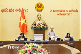 Phó Chủ tịch Quốc hội Nguyễn Khắc Định phát biểu. (Ảnh: Doãn Tấn/TTXVN)