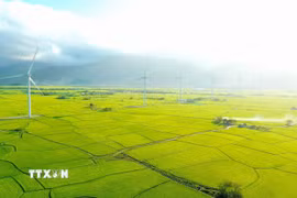 Cánh đồng điện gió Đầm Nại, xã Thuận Bắc, Xuân Hải và Ninh Hải, tỉnh Khánh Hòa. (Ảnh: Nguyễn Thành/TTXVN)