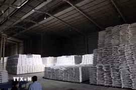 Gạo chuẩn bị xuất cấp hỗ trợ nhân dân trong dịp Tết Nguyên đán Bính Ngọ và giáp hạt đầu năm 2026. (Ảnh: Phạm Hậu/TTXVN)