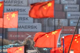 Các container hàng hóa tại Cảng Dương Sơn, Thượng Hải, Trung Quốc, ngày 7/2. (Ảnh: Reuters)