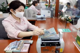 Ảnh minh họa. (Nguồn: TTXVN)