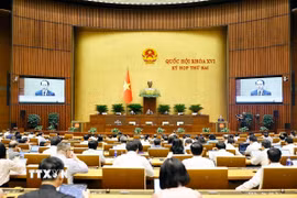 Bộ trưởng Bộ Tư pháp Hoàng Thanh Tùng, thừa ủy quyền của Thủ tướng Chính phủ trình bày tờ trình về 3 dự án: Luật Đấu giá tài sản (sửa đổi); Luật Luật sư (sửa đổi); Luật Nuôi con nuôi (sửa đổi). (Ảnh: Doãn Tấn/TTXVN)