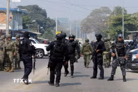 Cảnh sát và binh sỹ Mexico . (Ảnh: AFP/TTXVN)