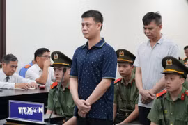 Bị cáo Đinh Tiến Hùng (áo sẫm màu) nghe Tòa tuyên án. (Ảnh: Kim Anh/TTXVN)