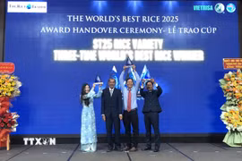 Anh Hùng lao động Hồ Quang Cua cùng các con nâng cao cúp "Gạo ngon nhất thế giới" năm 2025 tại buổi lễ. (Ảnh: Nguyễn Văn Việt/TTXVN)