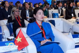 Đoàn Kiểm toán Nhà nước Việt Nam tham gia Hội thảo quốc tế. (Ảnh: TTXVN phát)