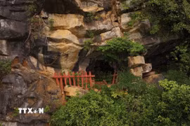 Hang Thung Bình 1, nơi các nhà khoa học tìm ra bộ hài cốt có niên đại cách đây gần 13.000 năm. (Ảnh: Đức Phương/TTXVN)