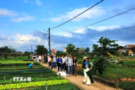 Khách quốc tế tham quan các điểm du lịch nông nghiệp thành phố Đà Nẵng. (Ảnh: Đoàn Hữu Trung/TTXVN)