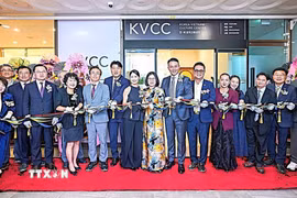 Các đại biểu cắt băng khai trương Trung tâm giao lưu văn hóa Hàn - Việt tại thành phố Daegu. (Ảnh: Khánh Vân/TTXVN)