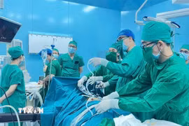 (Ảnh minh hoạ: TTXVN phát)