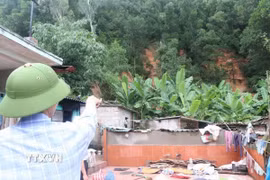 Lãnh đạo xã Nam An Phụ, thành phố Hải Phòng kiểm tra diễn biến các điểm sạt lở trên địa bàn ngày 24/8. (Ảnh: Mạnh Minh/TTXVN)