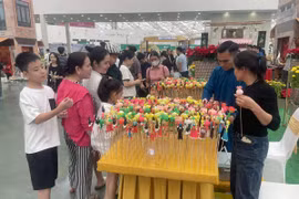 Khu trình diễn nặn tò he của nghệ nhân Đặng Thường hút người xem. (Ảnh: PV/Vietnam+)